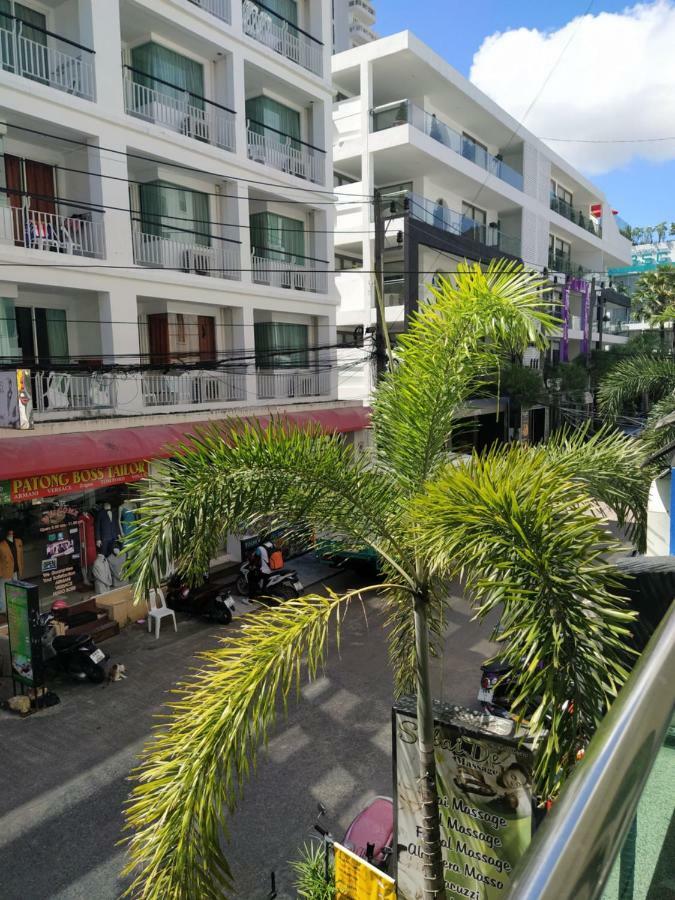 Siam Palm
