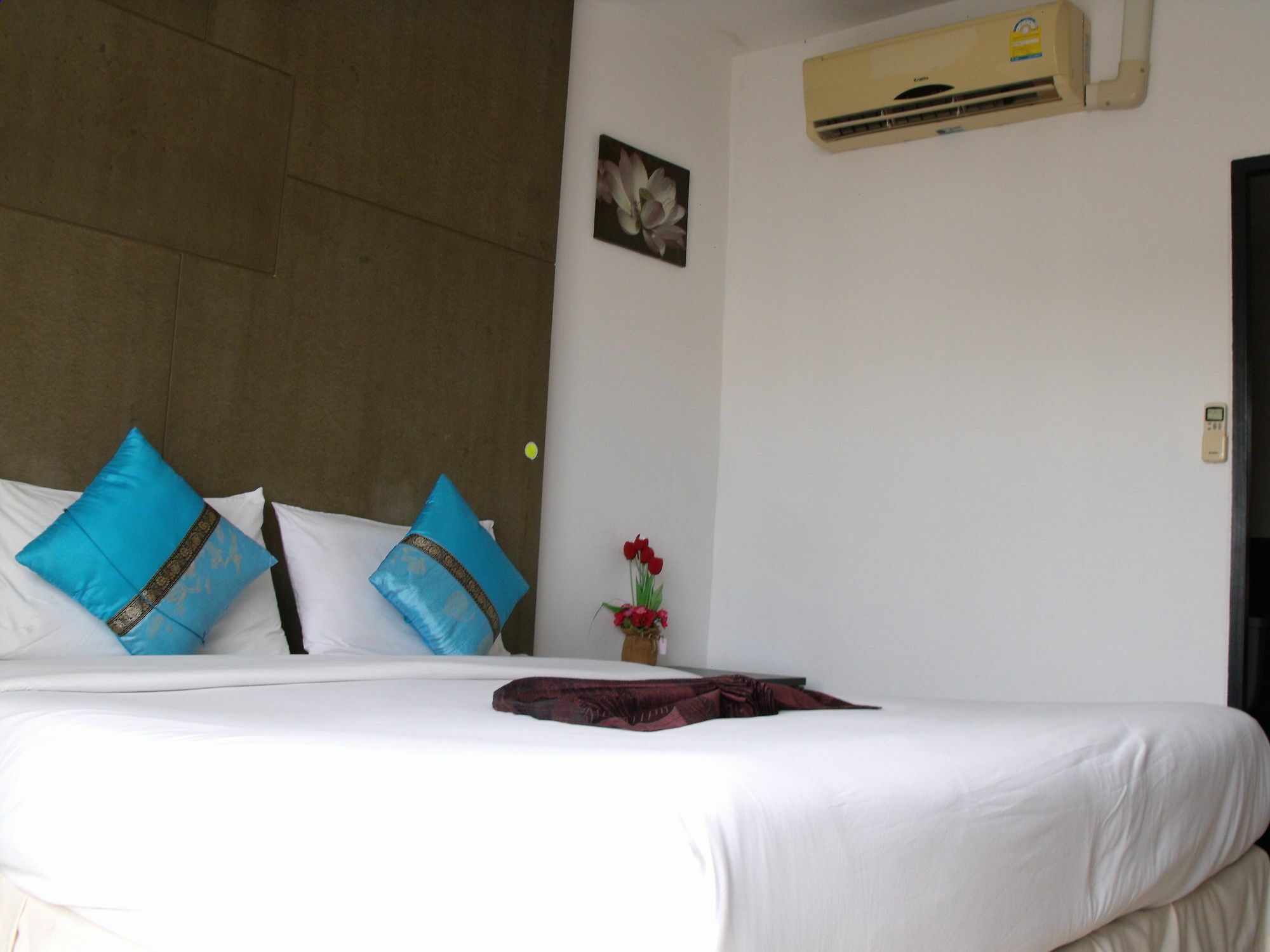 Seahorse Phuket