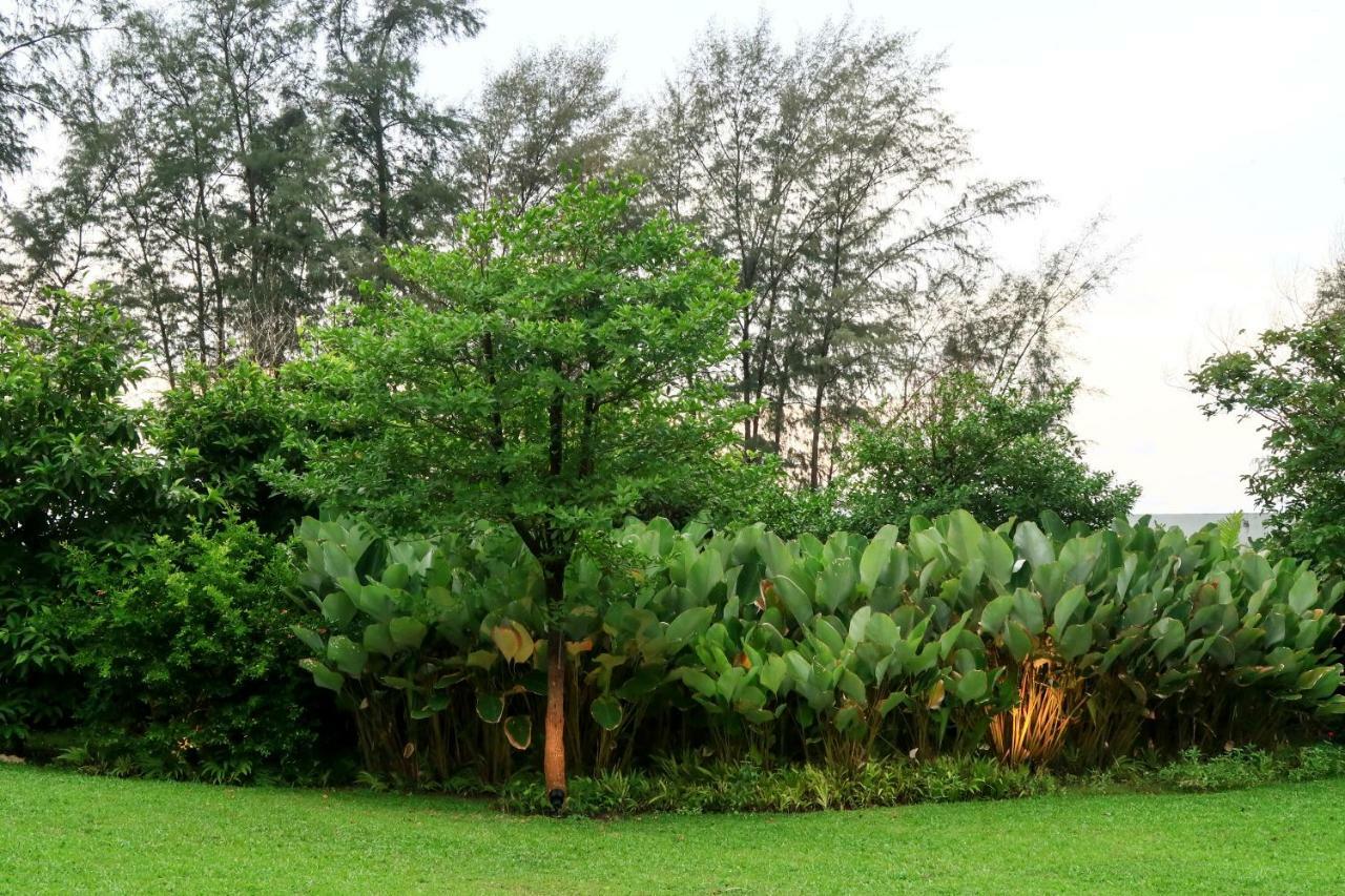 Villa Alaya Bang Tao Beach (Phuket)