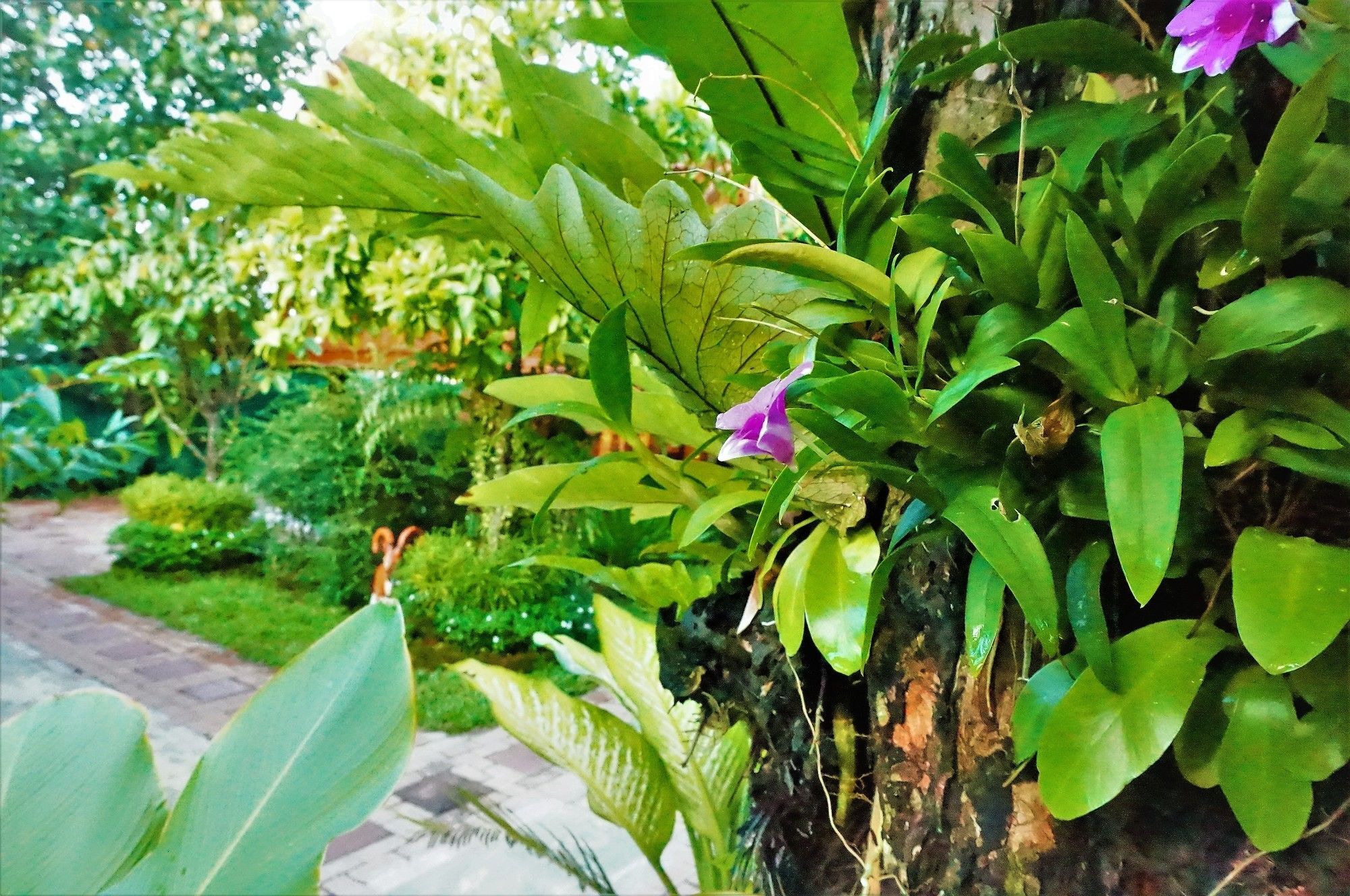 Rumah percutian Ruen Tai Boutique Phuket