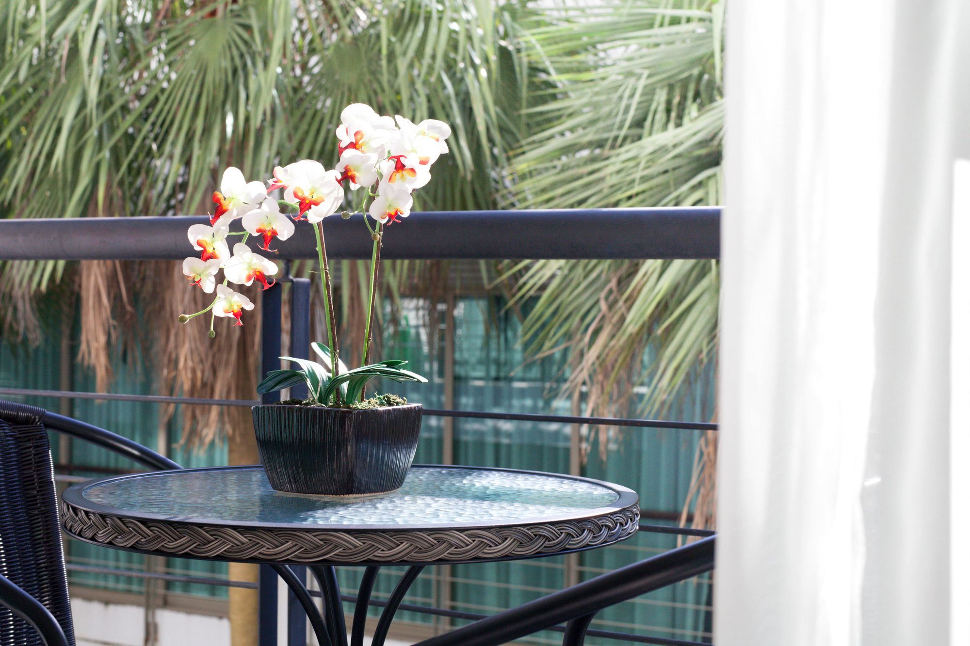 Luxury 3 Bedroom - A Apartment Kamala Beach