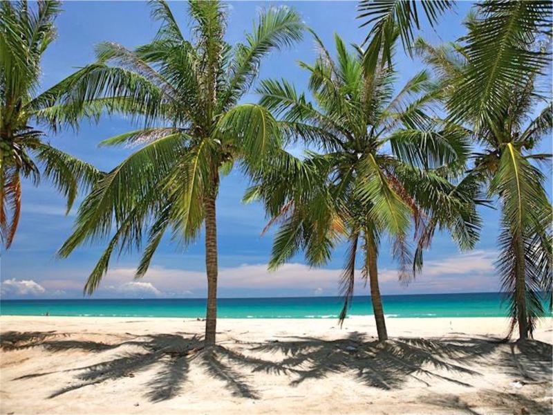 Ocean View New 1 Bedroom * Kata Beach (Phuket)