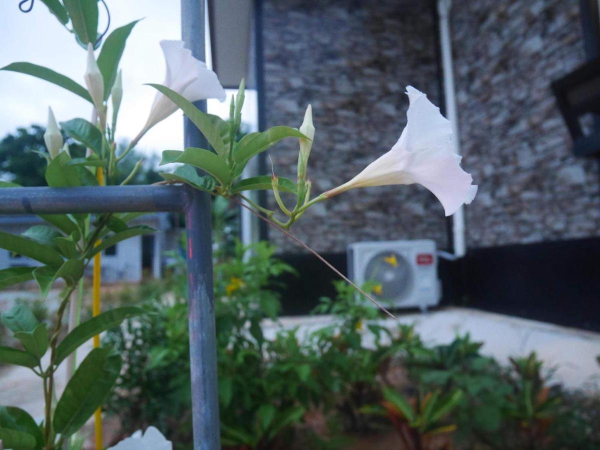 Holiday home Kora-great Airport Phuket Nai Yang