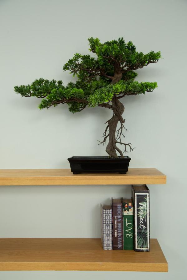 Zen Studio Apartamento *