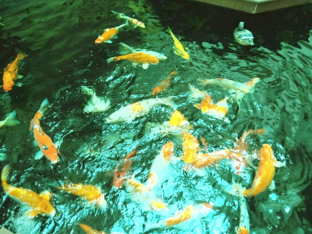 Zhou - Sha 3* Phuket