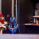 Black Panther Hostel