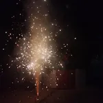 Lanting