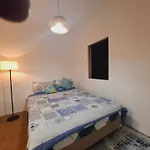 The Grove Guesthouse
