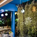 BGW Phuket Hostel