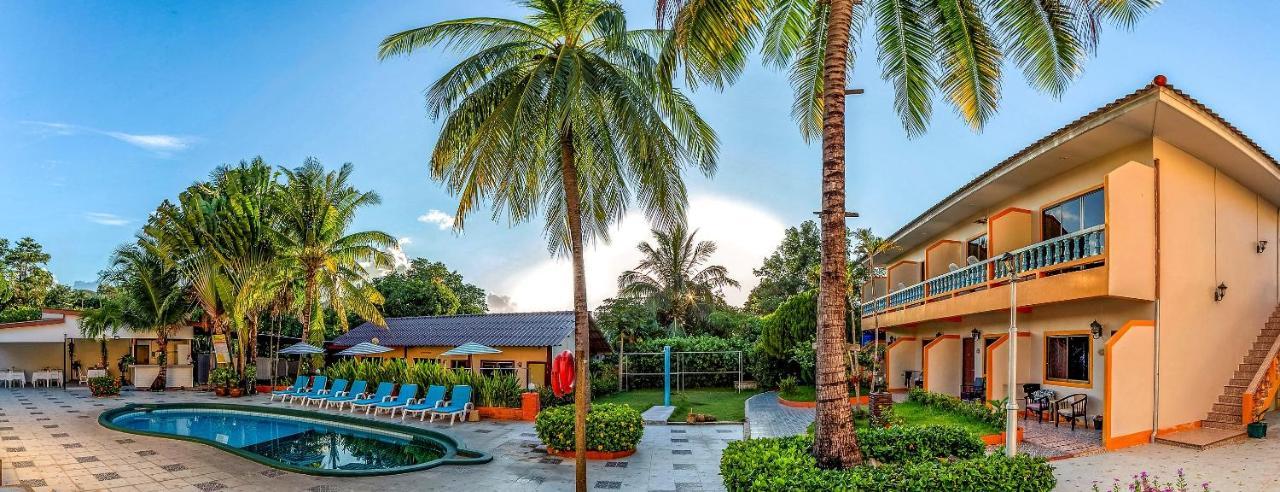Coconut Hotel 3*