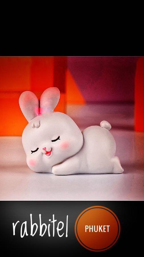 Rabbitel * Phuket