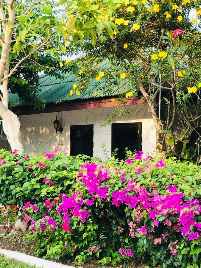 Ferienhaus Guest House, Shared Pool, Private Bathroom And Kitchen