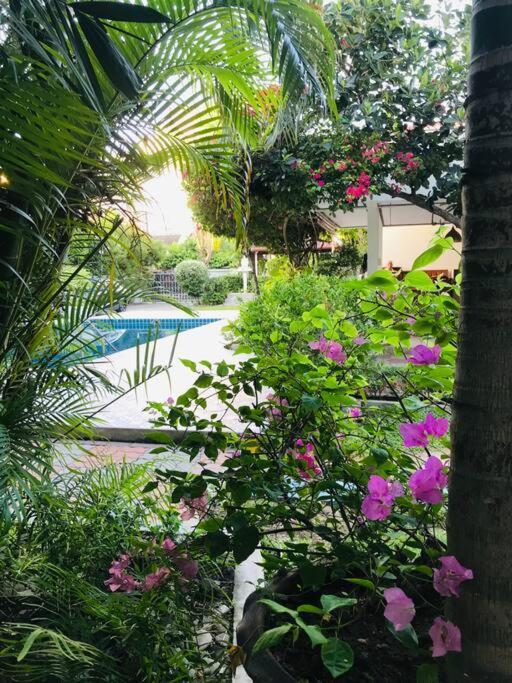 Summer House,shared Pool, Private Bathroom And Kitchen Phuket