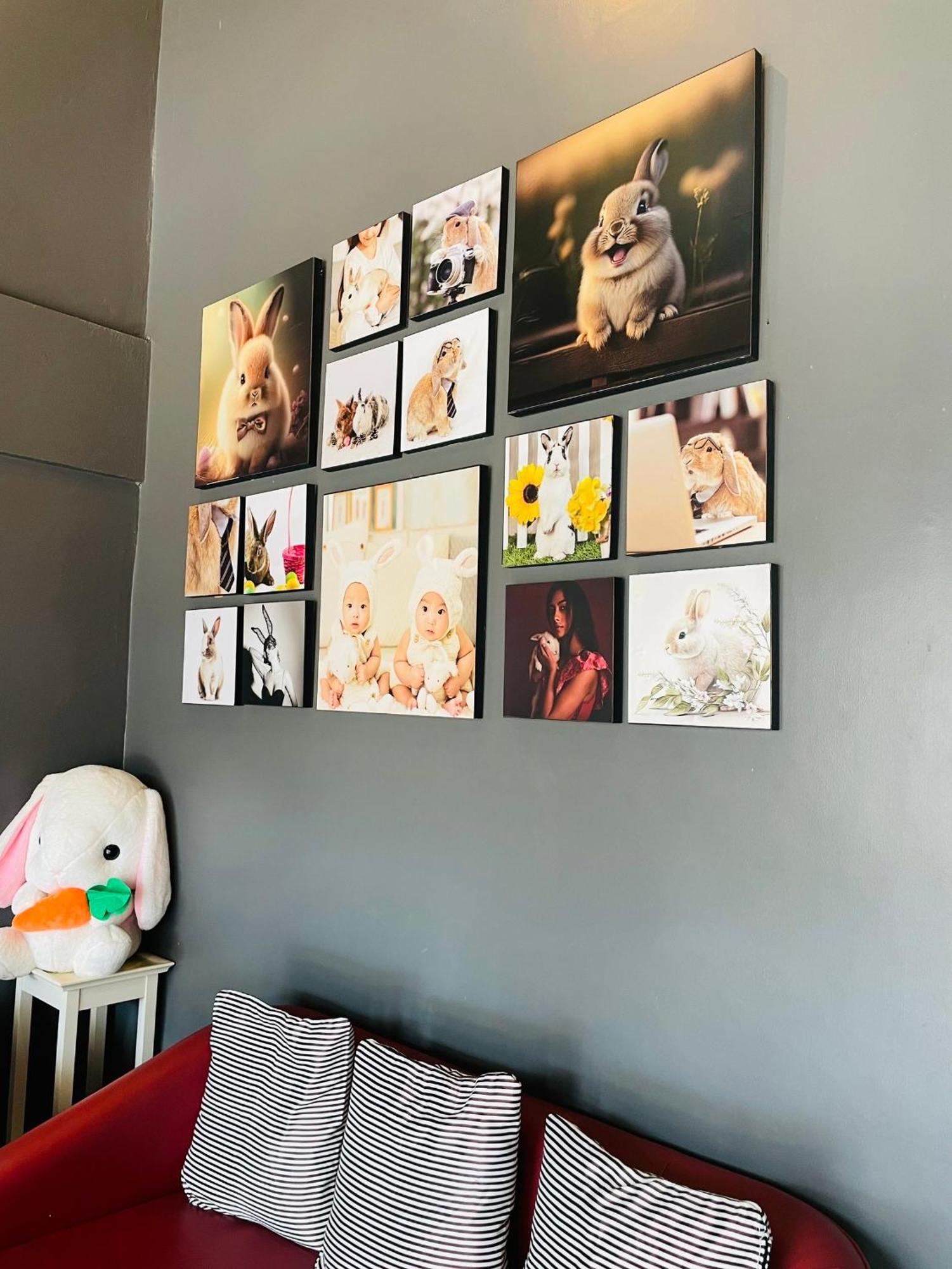 Hostel Rabbitel *