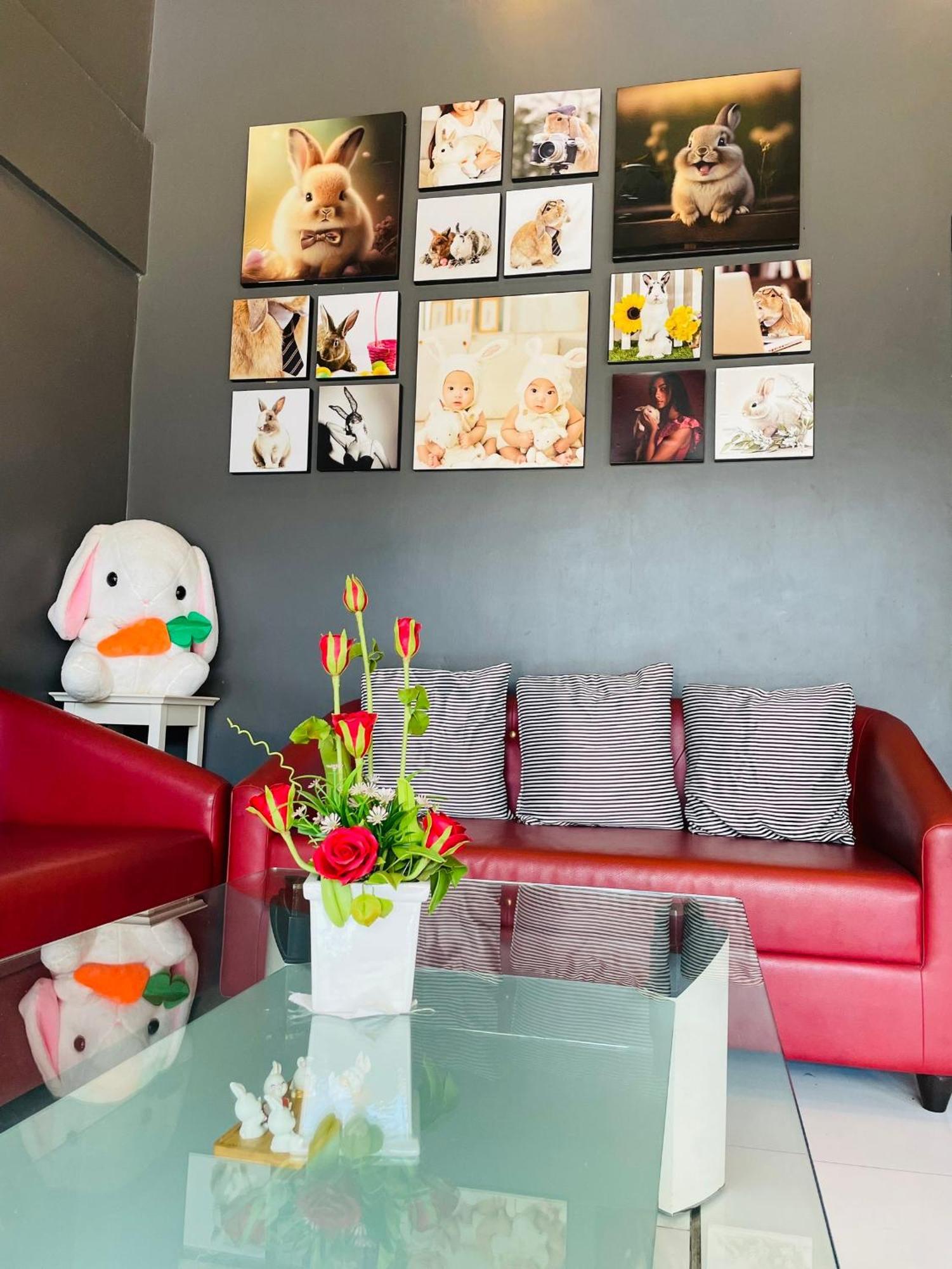Hostel Rabbitel Phuket