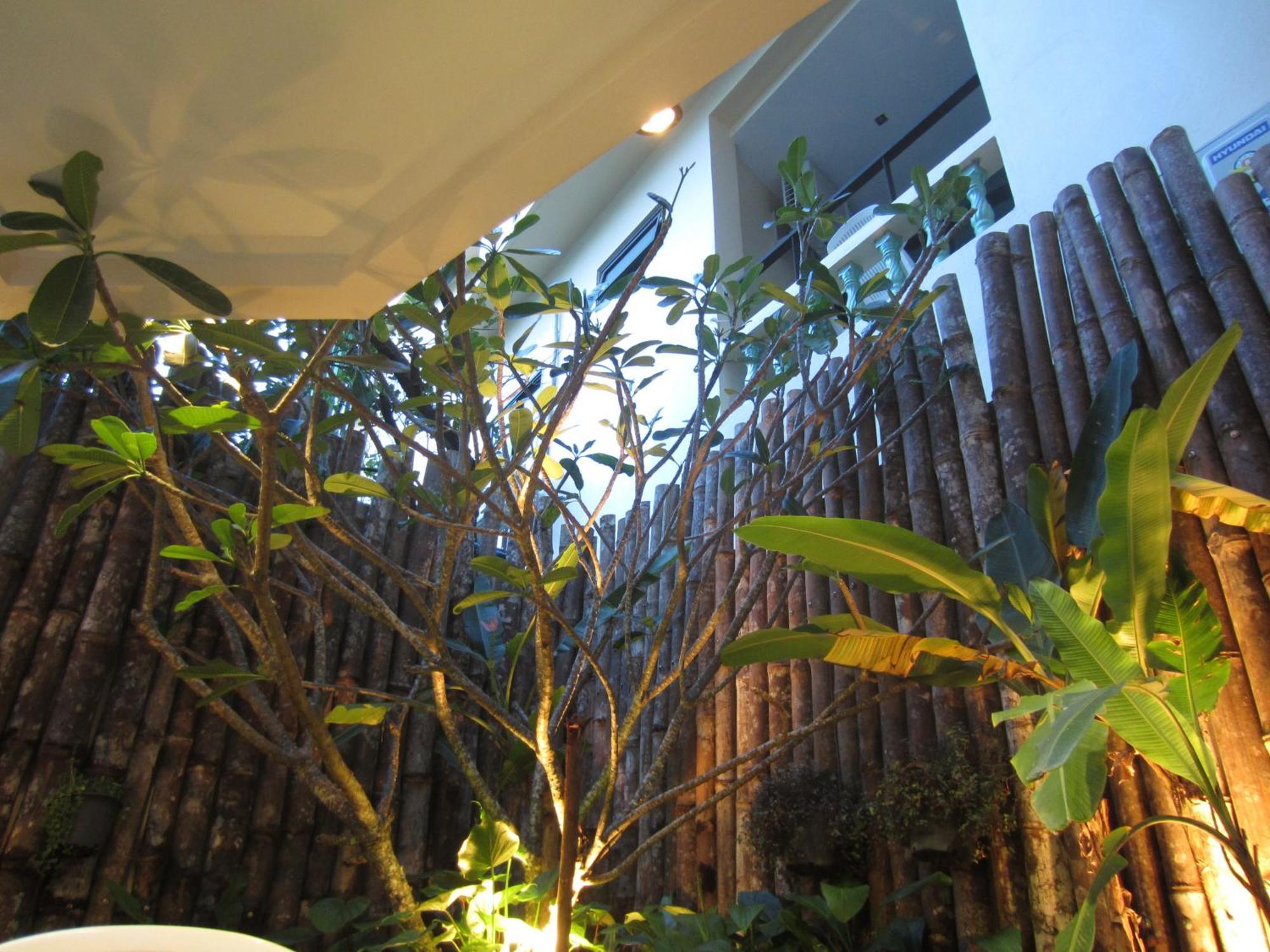 Hotel The Wave Patong Sha Phuket