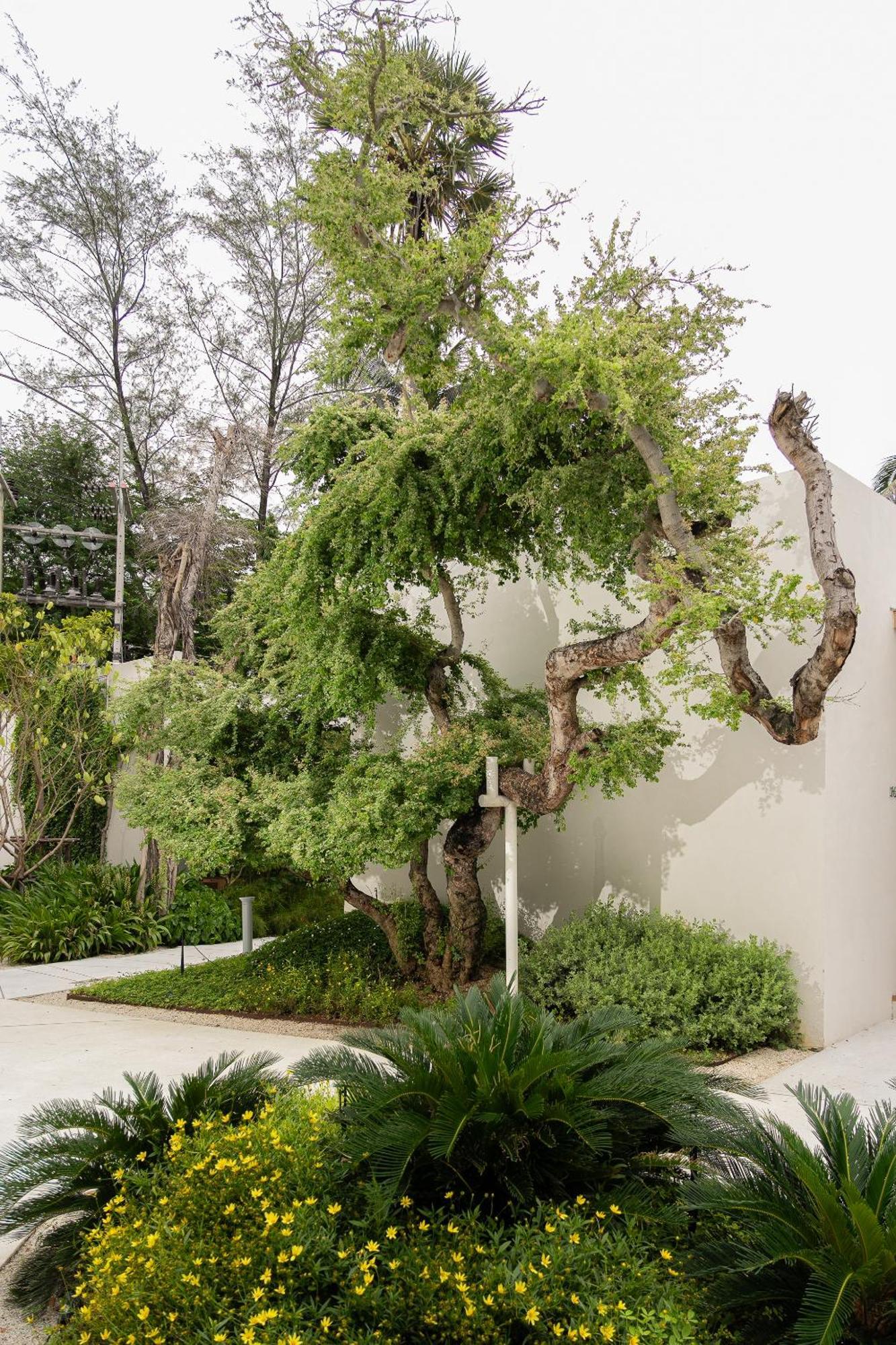 Resort Eden & Phuket
