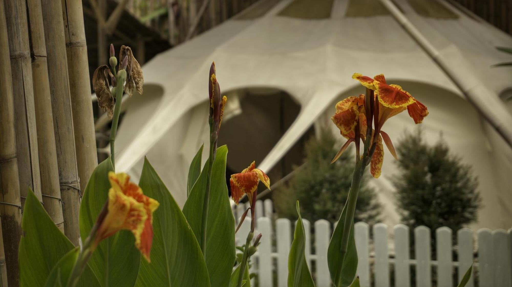 Bambus Restaurant, Bar & Glamping Luxury tent
