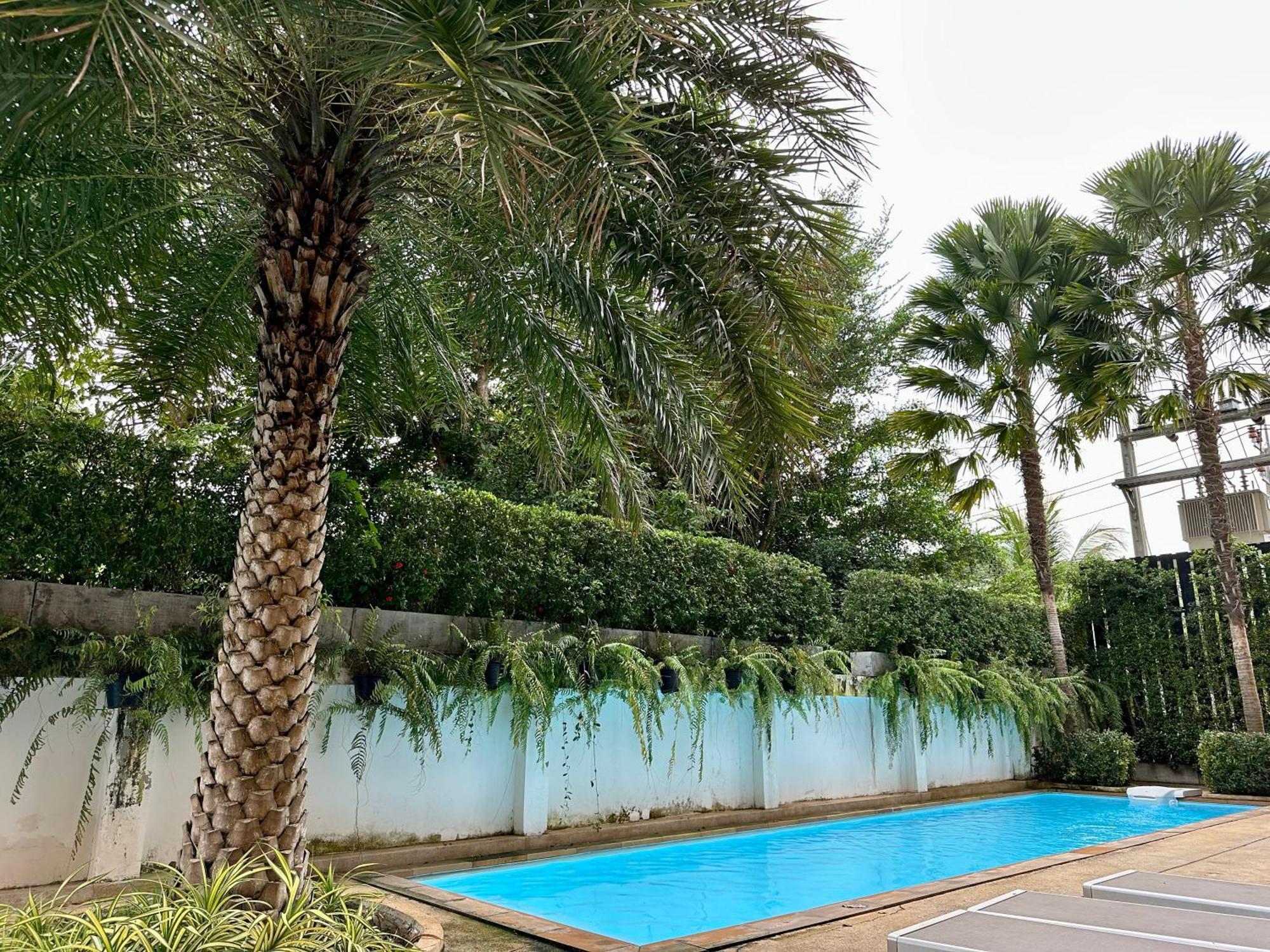 Apartment 1Bdr Pool Access Apartment Rawai Beach Condominium By Capital Pro