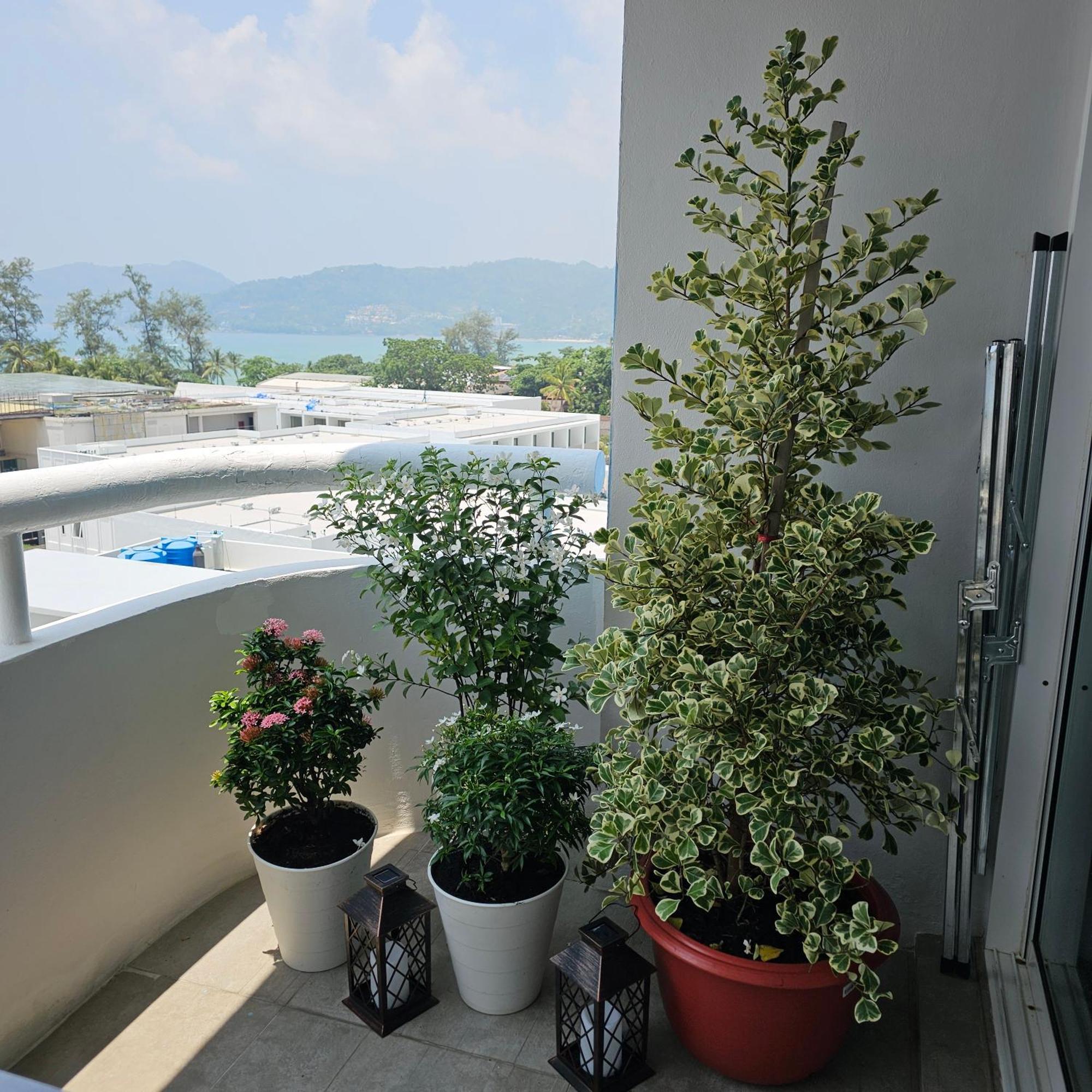Tower 1 Bedroom Sea View Patong