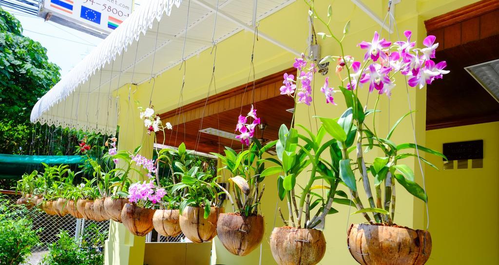 Gasthof Adonis Patong