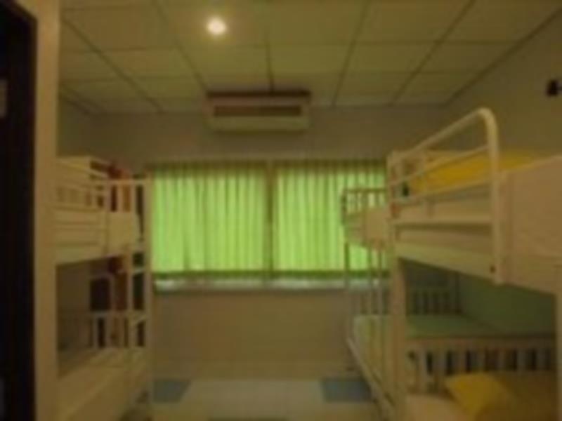 Sleep Sheep Sha