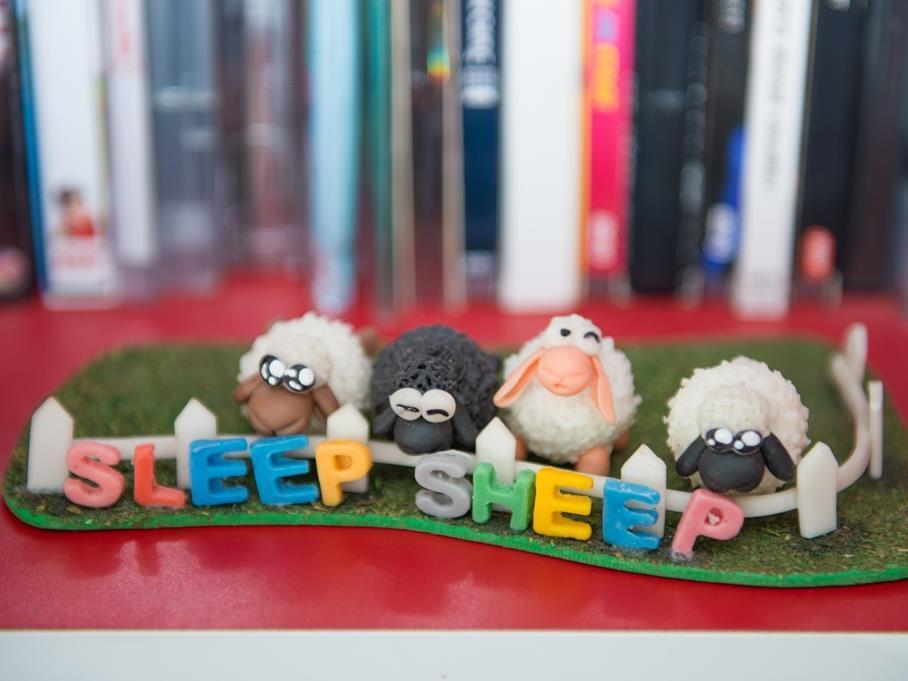 Hostel Sleep Sheep Sha Phuket