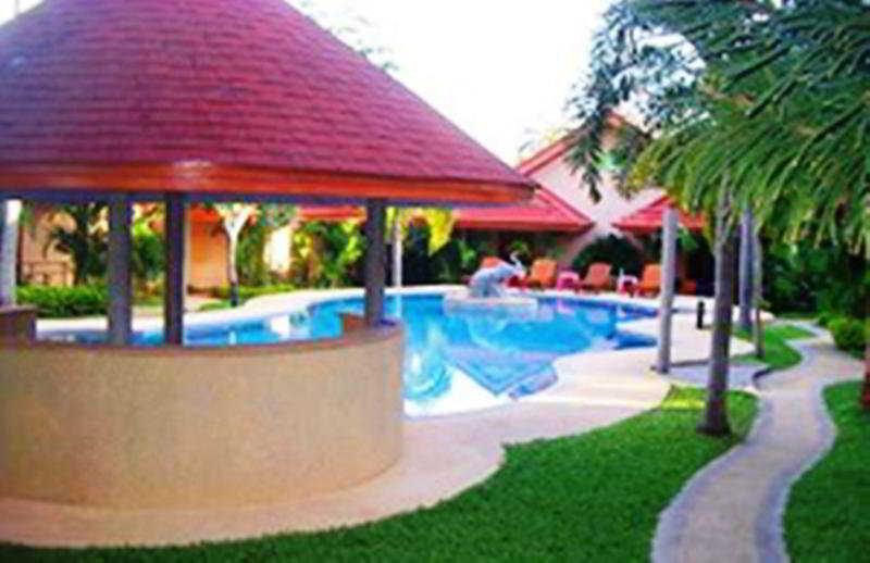 The Happy Elephant 3*