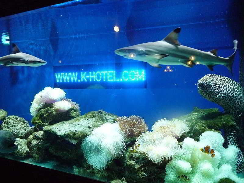 Hangout Phuket By Kly 3* Patong