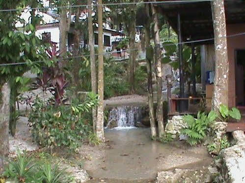 Nature Park