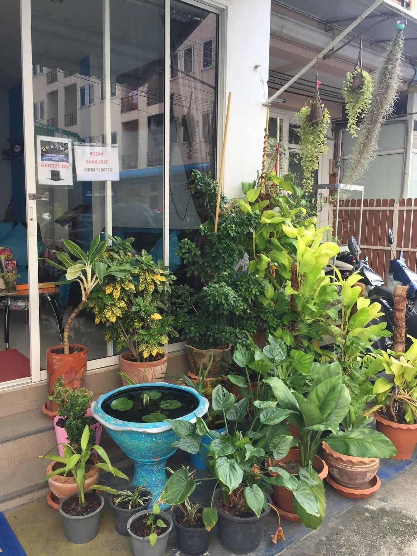 Economy hotel Dreams & Patong
