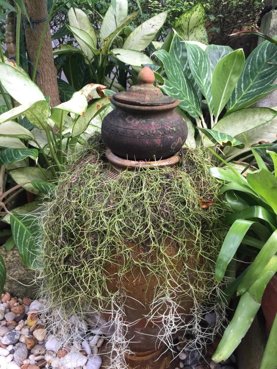 Baan Vanida Garden Karon