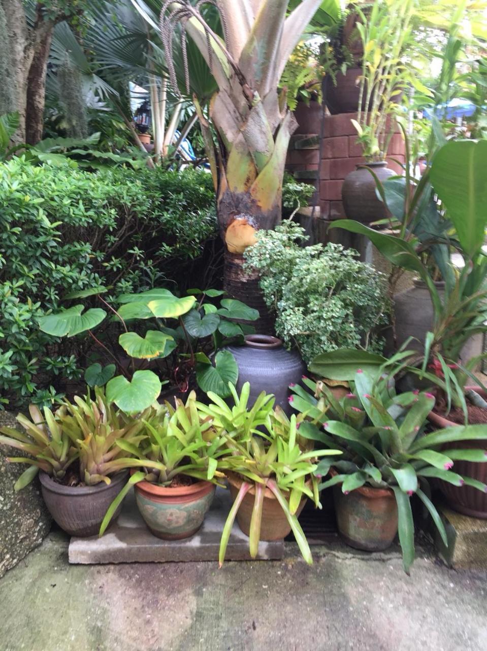 Baan Vanida Garden Resort Karon