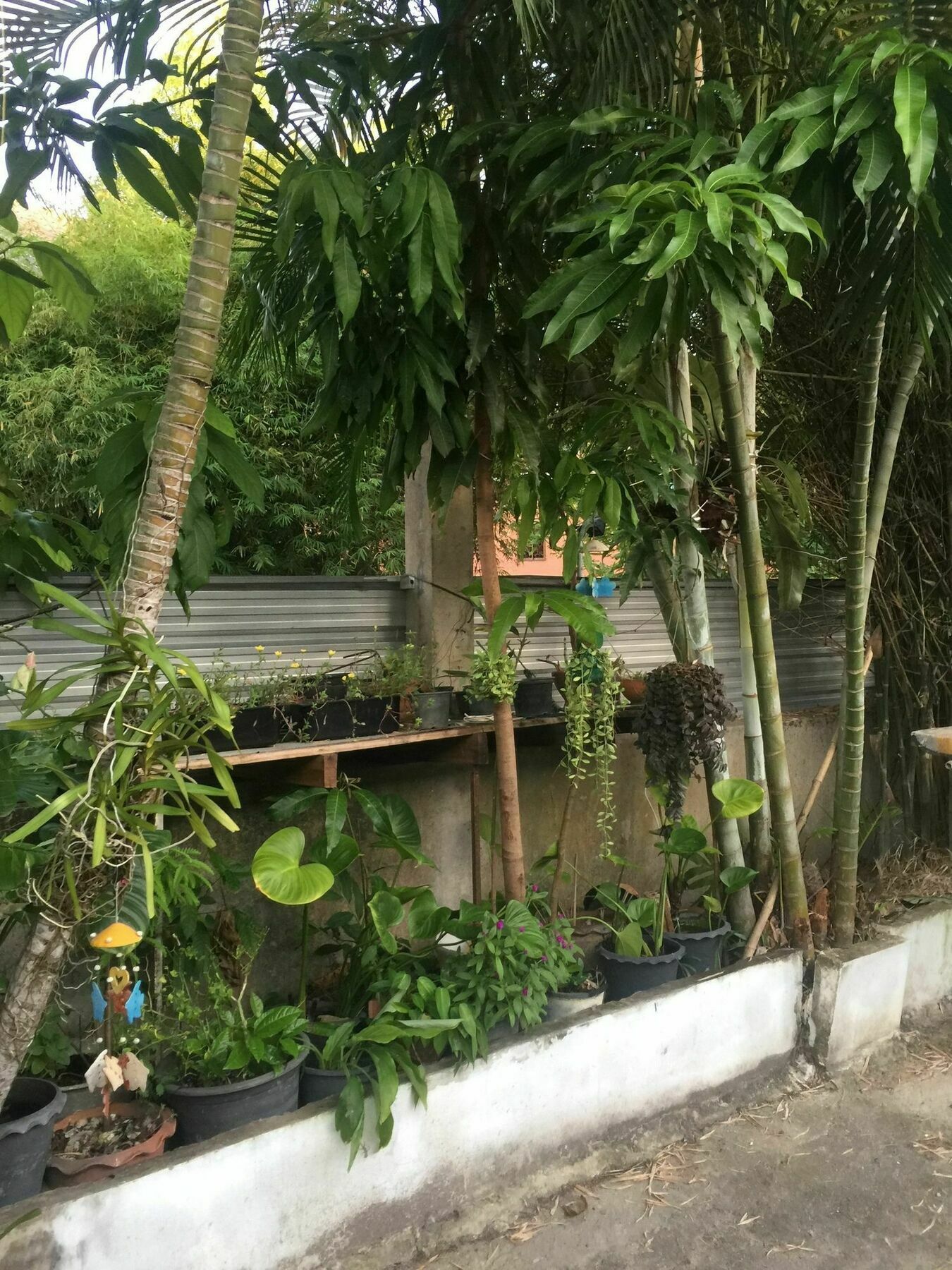 Nan Guest house 2*