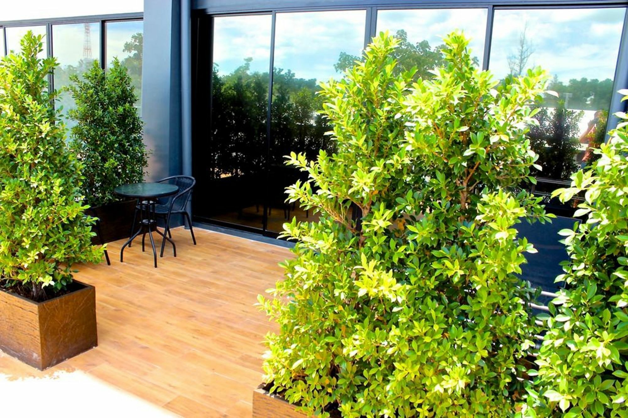 Apartment Little Paris *