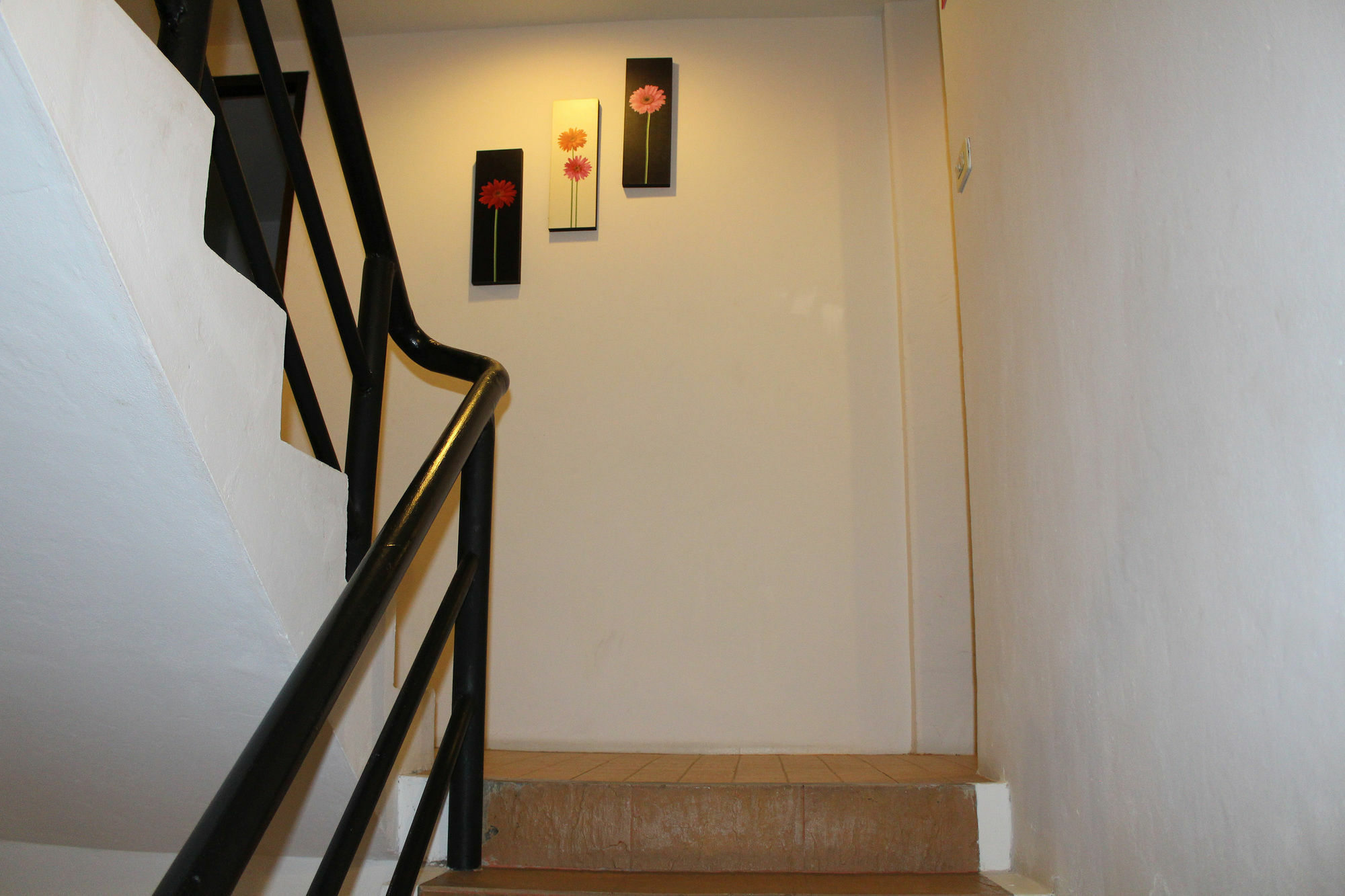 Sino House Guest house 2*
