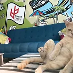 Bedbox Hostel