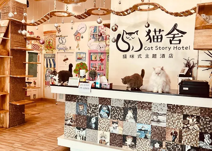 Cat Story Hotel