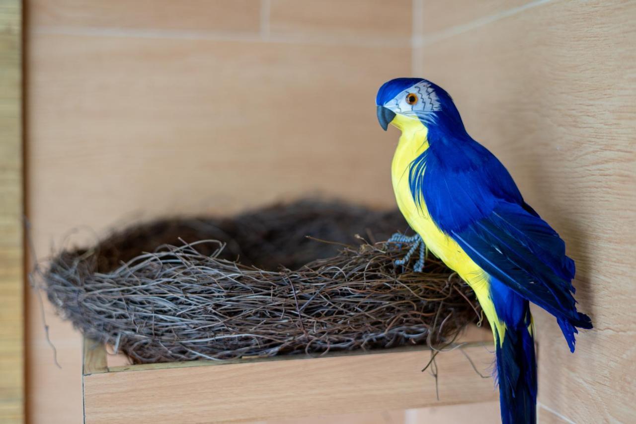 Bird Nest Beach Sea View+gym+sauna+party Villa
