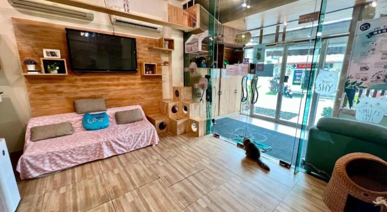 Cat Story Hotel Patong