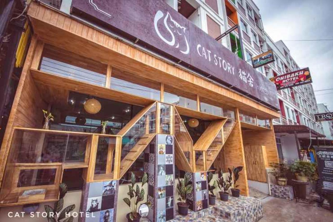 Cat Story 3* Patong