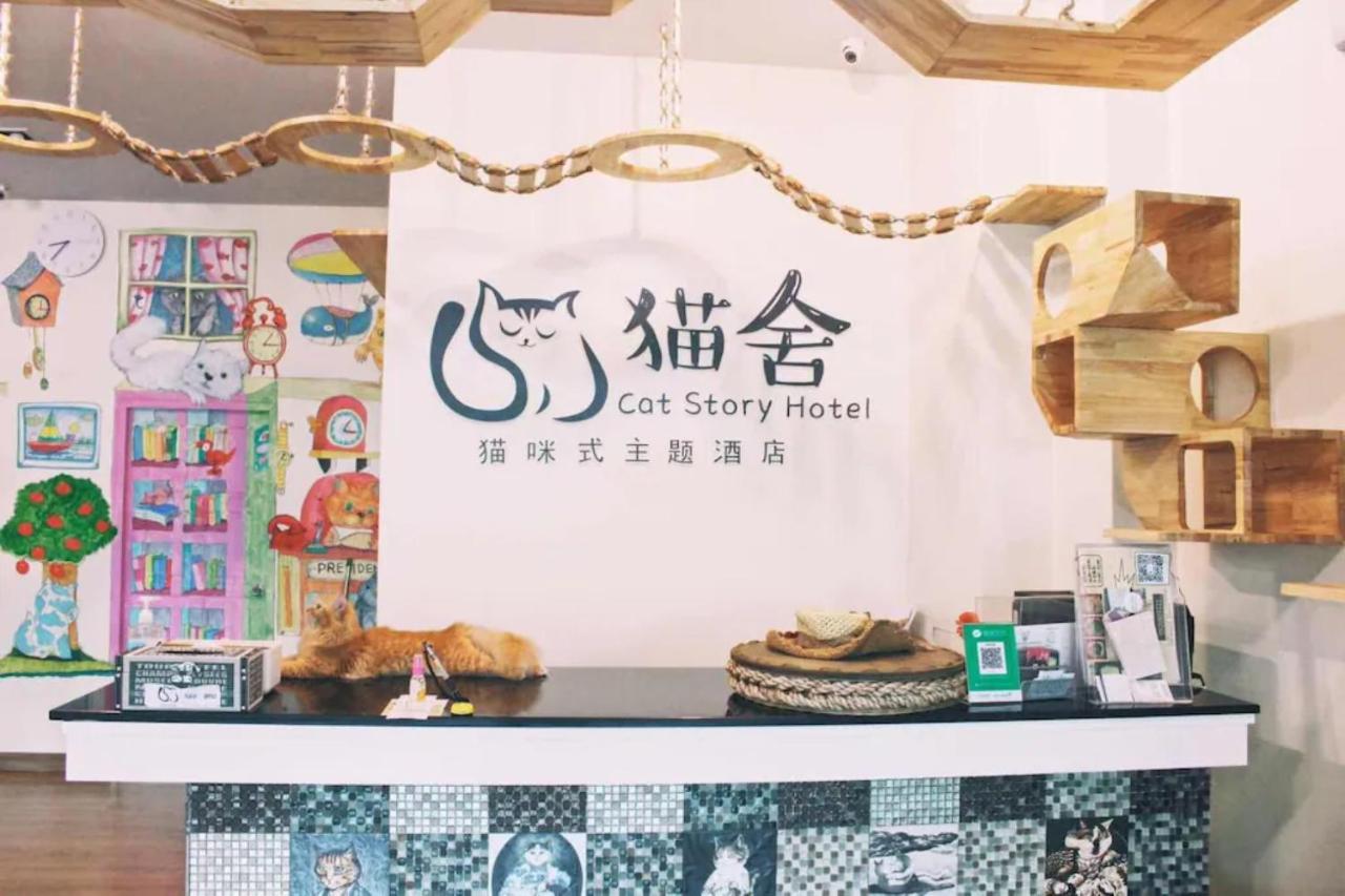 Cat Story Hotel Patong