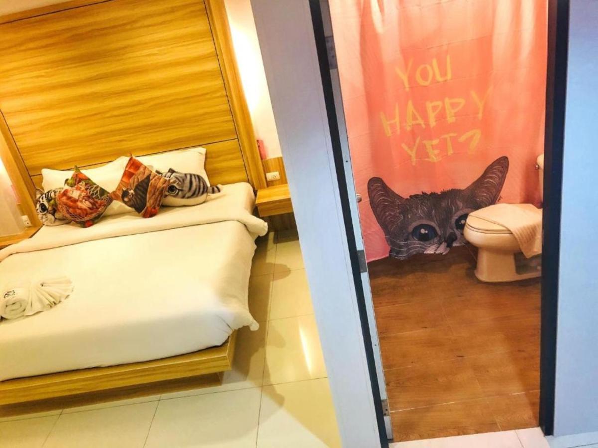 Hotel Cat Story Patong