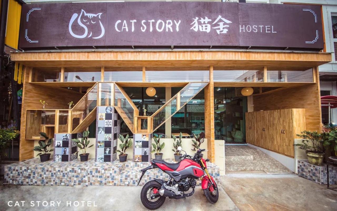 Hotel Cat Story Patong