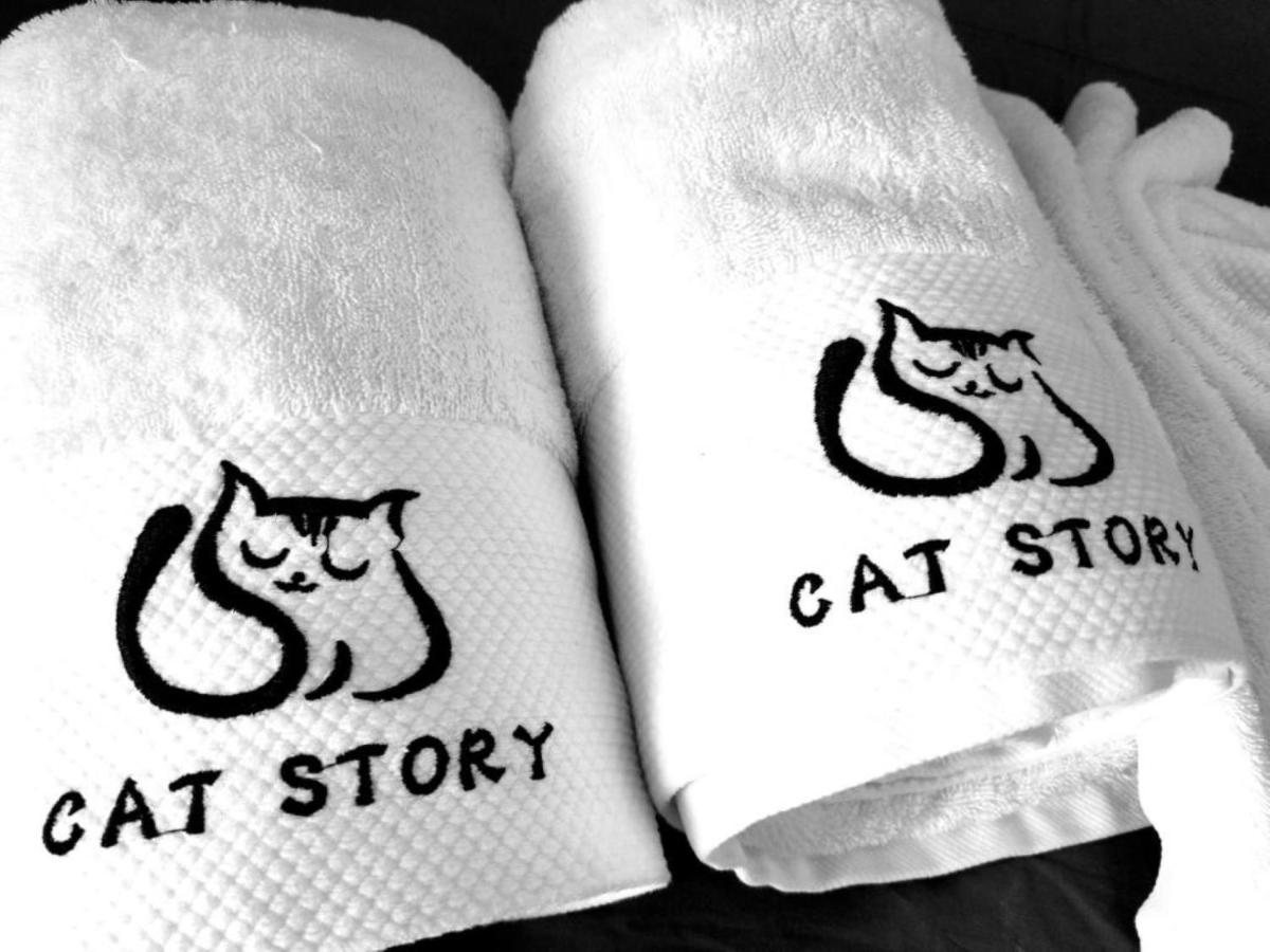 Cat Story 3*