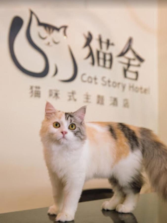 Hotel Cat Story Patong