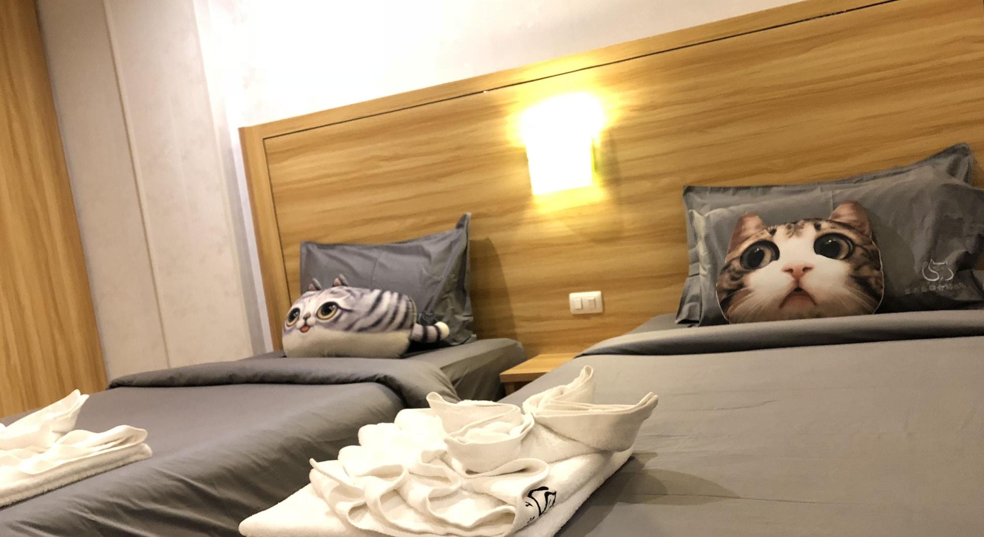 Cat Story Hotel