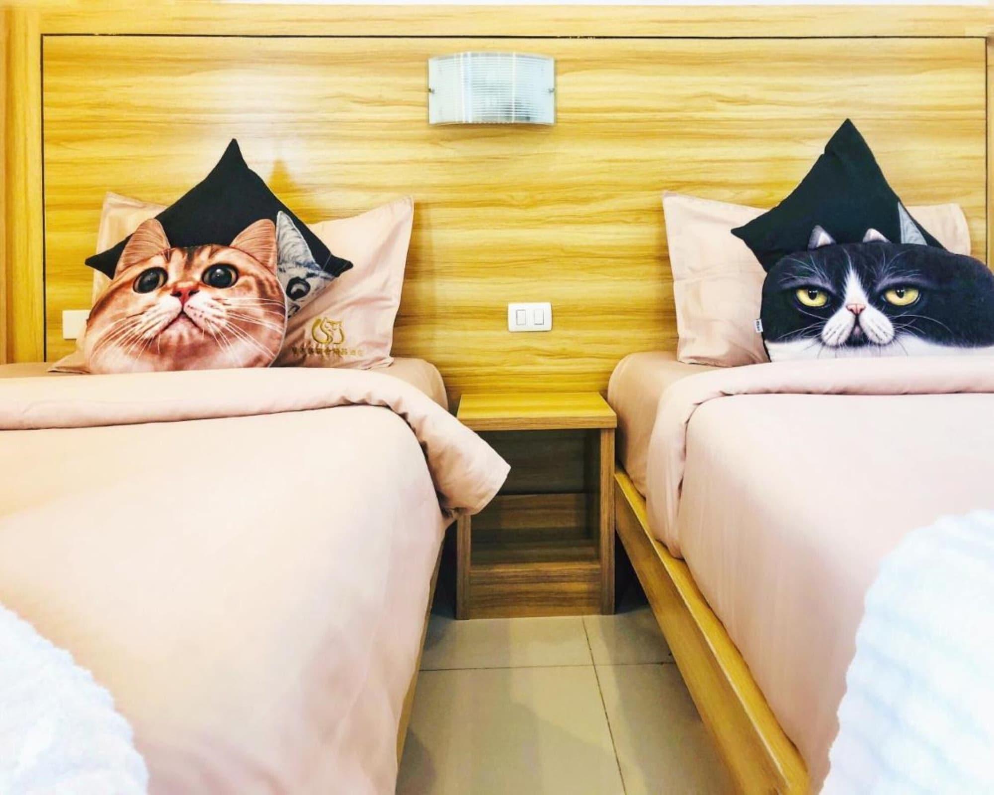 Hotel Cat Story 3*