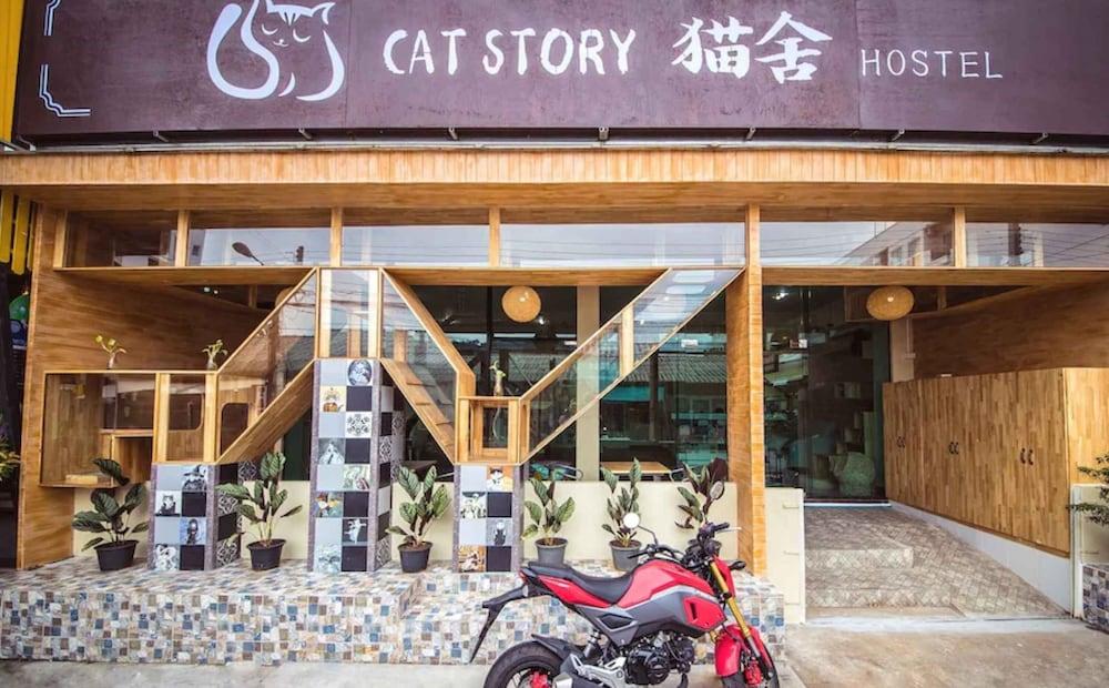 Cat Story Hotel Patong