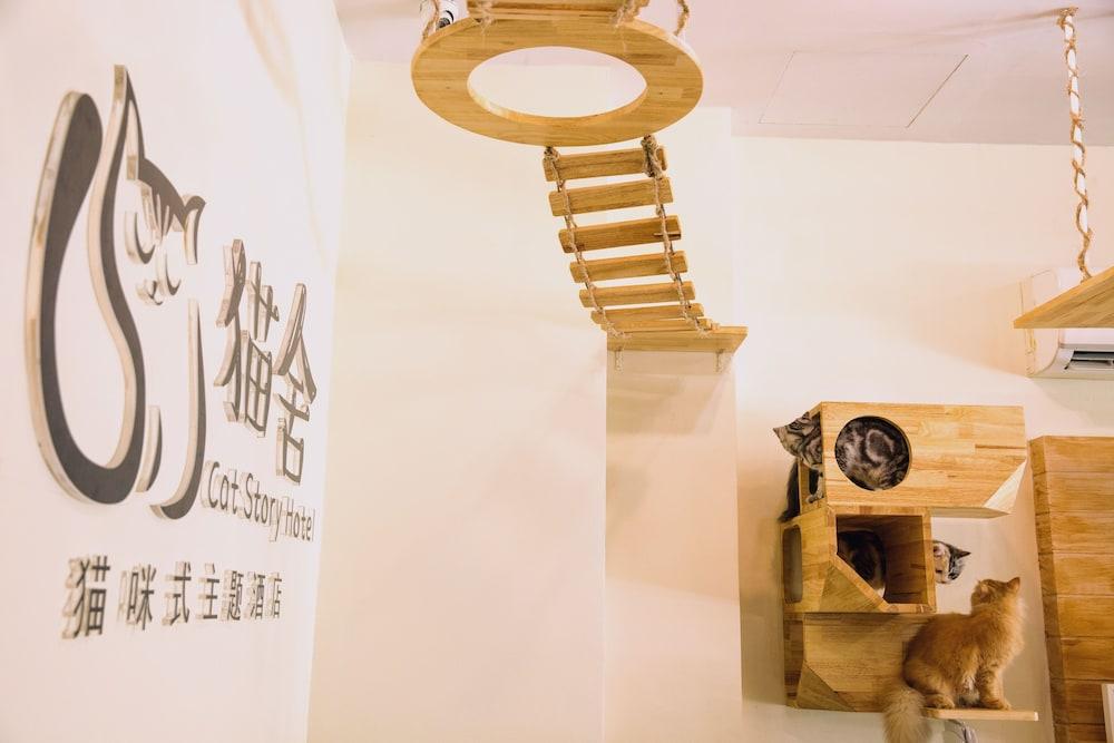 Cat Story Hotel
